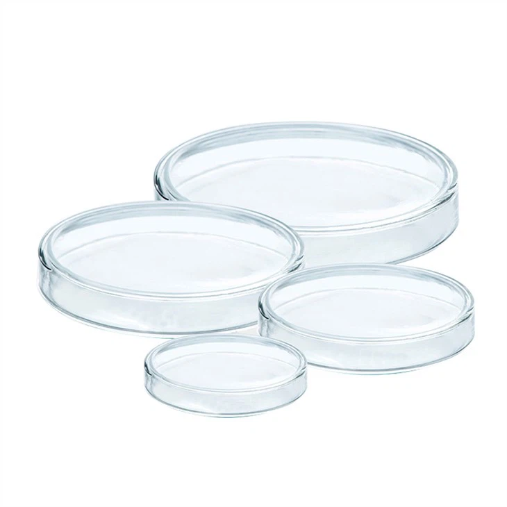 Lab Borosilicate 6mm 90mm 100mm Glass Petri Cell Culture Dish WIth Lid