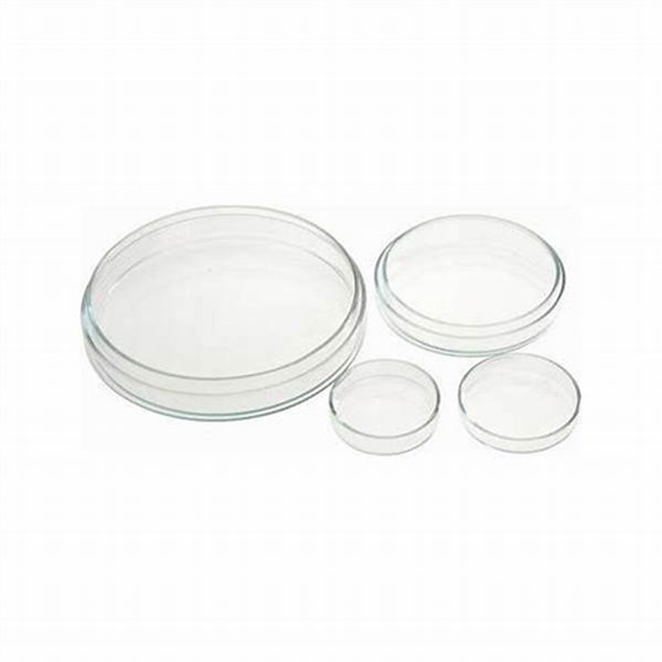 Laboratory Disposables Petri Dish High Borosilicate Glass/Plastic Cell Culture Dishes