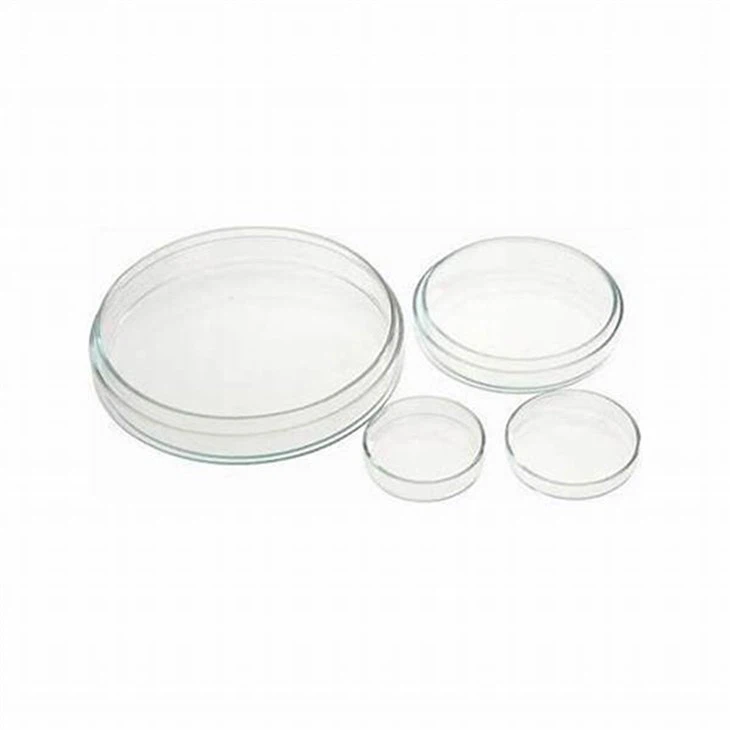 Laboratory Disposables Petri Dish HIgh Borosilicate Glass Culture Dishes