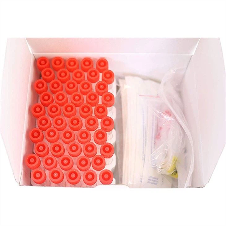 VTM Kit Virus Collection Empty VTM 10ml Screw Cap Transportation Tube